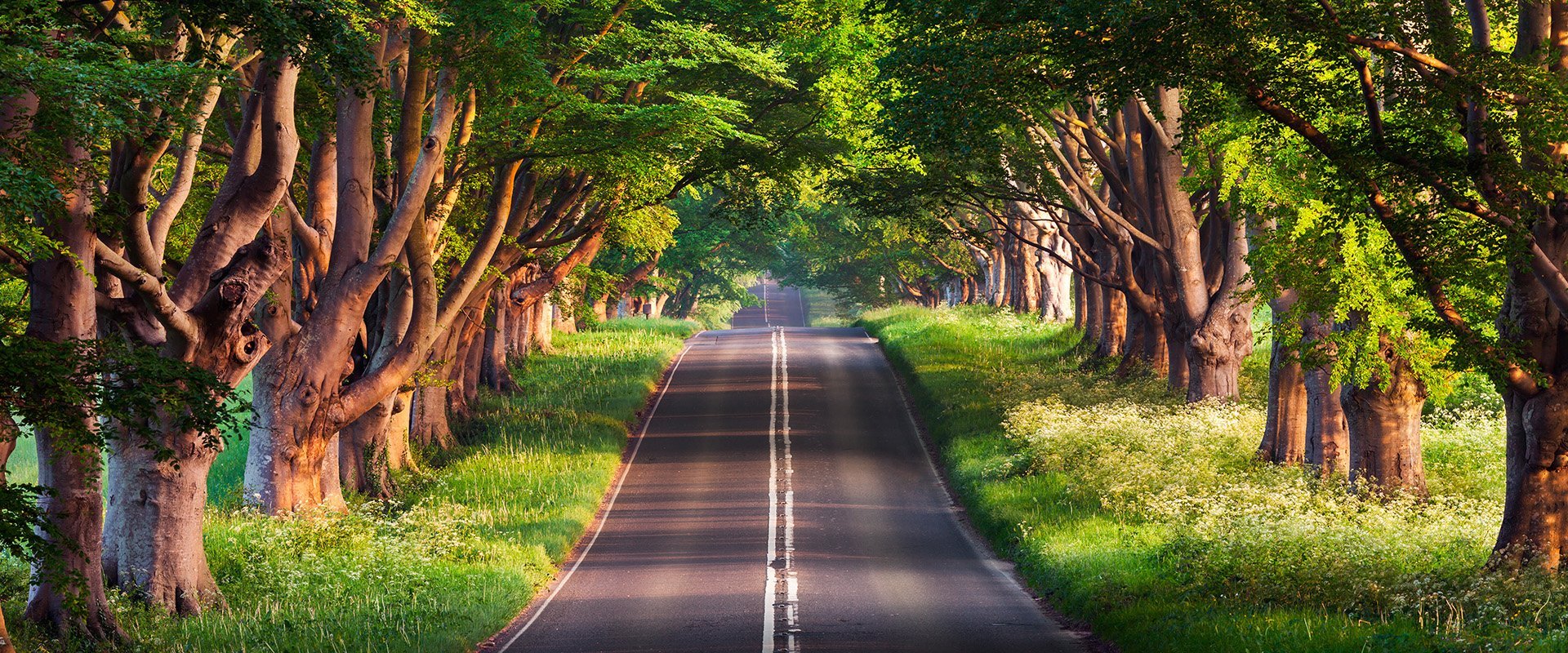 WAHRE FİLTRE SÜRDÜRÜLEBİLİR ÇEVRE YAKLAŞIMINI BENİMSEMİŞTİR