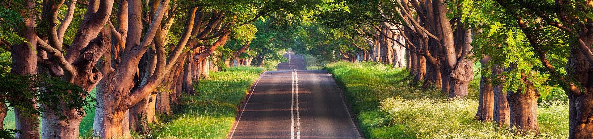 ÇEVRE POLİTİKAMIZ