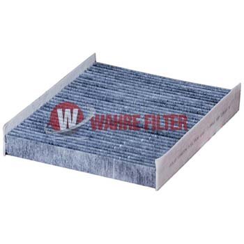 Karbonlu Polen Filtresi